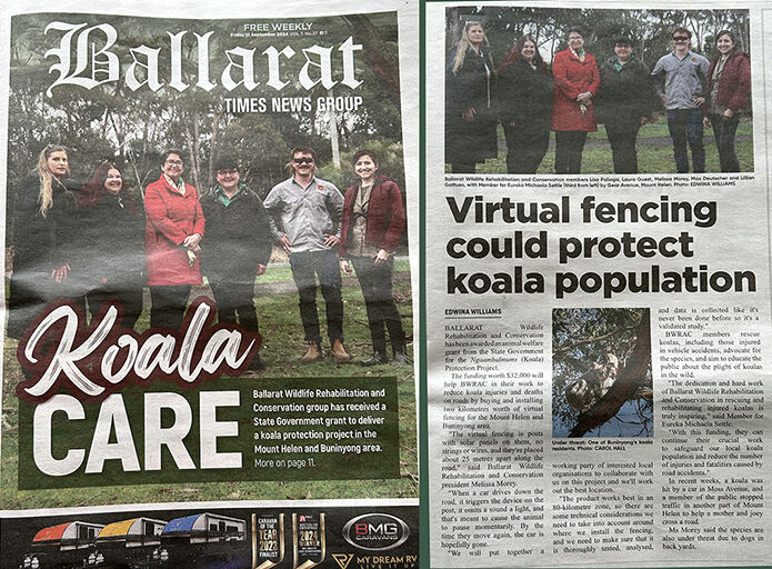 Ballarat Times Newspaper Koala Care Article